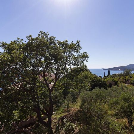 Villa Dubravka Mlini Δωμάτιο φωτογραφία