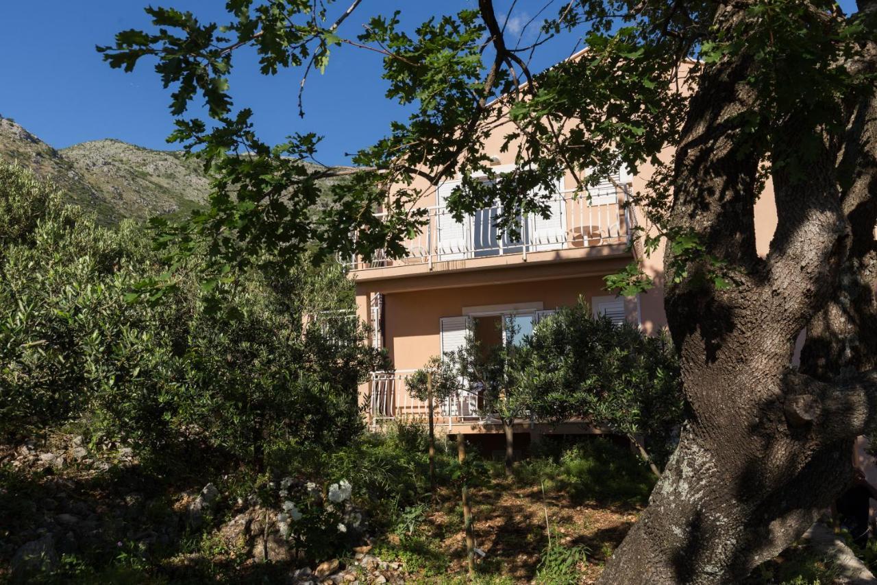 Villa Dubravka Mlini Εξωτερικό φωτογραφία