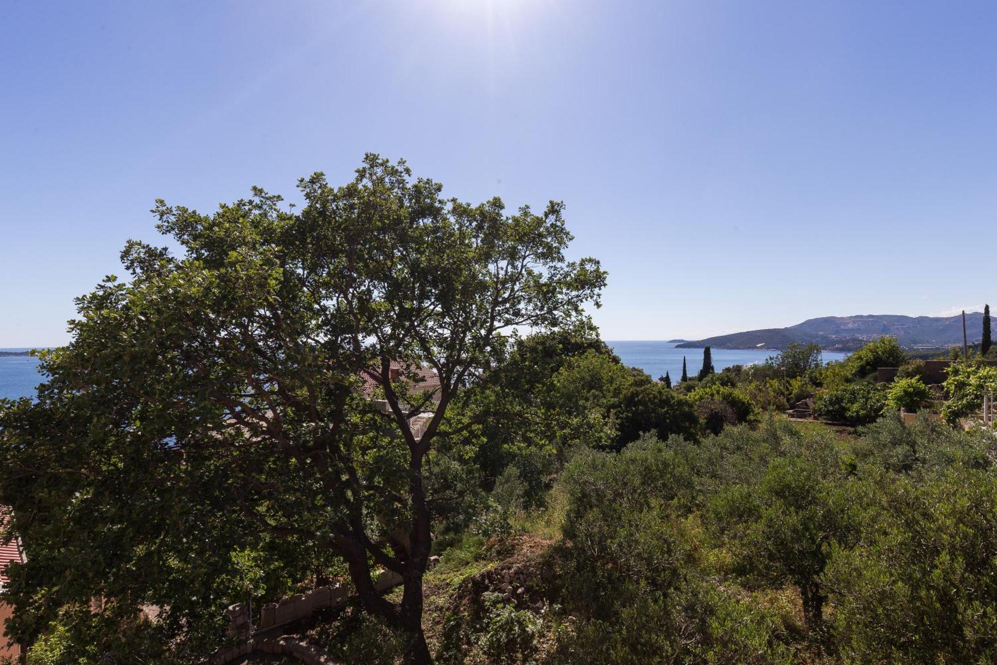 Villa Dubravka Mlini Δωμάτιο φωτογραφία
